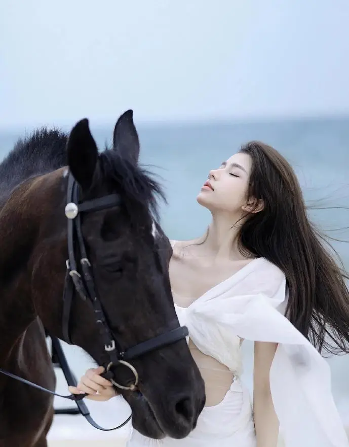 魔兽战网下载流量趋势